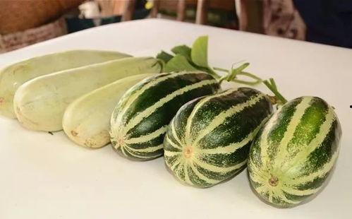 网红吃瓜不要钱