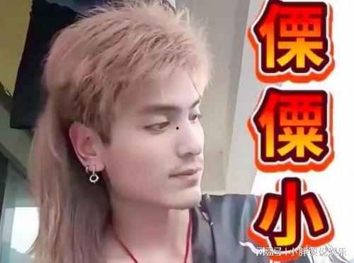 吃瓜网红事件蔡金发,吃瓜网红事件背后的真相与反思